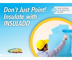 Professional House Painters and Quality Construction Materials