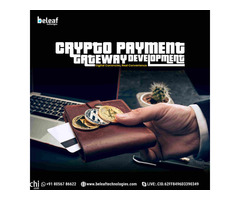 Crypto payment gateway developement