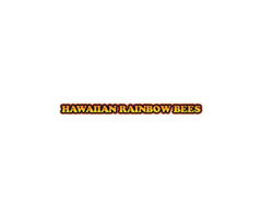 Hawaiian Honey | Big Island Honey - Hawaiian Rainbow Bees