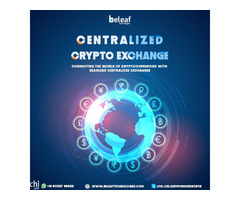 centralized crypto exchange development company