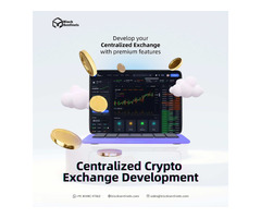 Centralized crypto exchange development