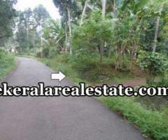 Olathanni Neyyattinkara residential land for sale