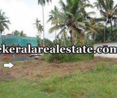 Mangattukadavu land for sale