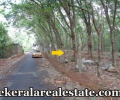 Moongode Thachottukavu main raod frontage land for sale