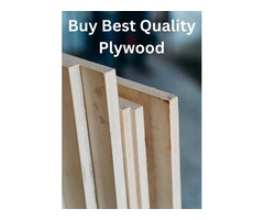 shuttering plywood manufacturers in yamunanagar