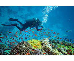 Find best Andaman Tour Packages