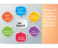 Best HR Payroll Course in Delhi,  SLA Classes, SAP HCM Certification in Gurgaon, HR Training Institu