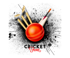 Outpacing Traditional Broadcasts: Cricket Scores Faster Than TV - Image 2