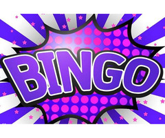 Bingo Online Español
