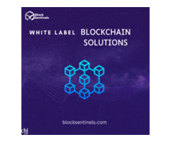 White label blockchain solutions development company