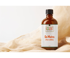 Gomutra – Pure (Filtered Cow Urine) at Goseva