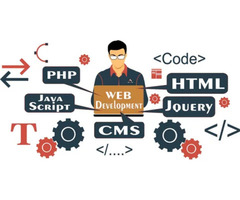 Web Development Company in Delhi with Specialized Services in Dwarka