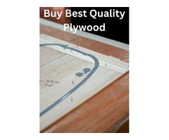 Best Plywood Manufacturers In Delhi NCR