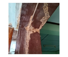 Pest Control Melbourne - Image 3