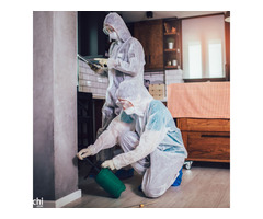 Pest Control Melbourne - Image 5