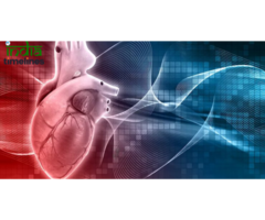 5 Advances in Heart Health That Are Saving Lives