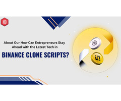 Binance Clone Script Development