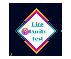 Find Out How Pure You Are with the Rice Purity Test! - Image 23