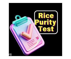 Find Out How Pure You Are with the Rice Purity Test! - Image 25