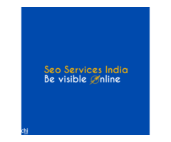 Achieve Top Rankings with the Best SEO Company in India