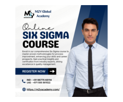 Six Sigma Training