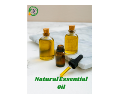 Natural Essential Oil Wholesalers In India