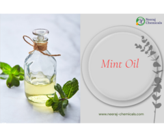 Mint Oil Suppliers in India