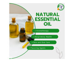 Natural Essential Oil Wholesalers in India