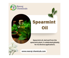 Spearmint Oil Suppliers in India