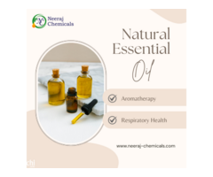 Natural Essential Oil Suppliers in India