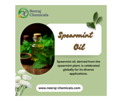 Spearmint Oil Wholesalers in India