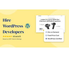 Hire Professional WordPress Developers for Tailored Web Solutions