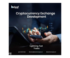 Top-tier cryptocurrency exchange  for sale company - Beleaf Technologies