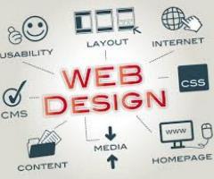 Urgently Required Web Designer