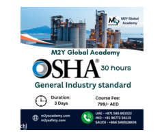 m2ysafety12