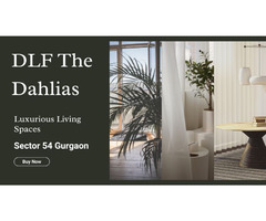 DLF The Dahlias | Best-Class Homes For You - Image 2