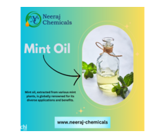 Mint Oil Suppliers in India