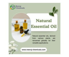 Natural Essential Oils Wholesalers in India