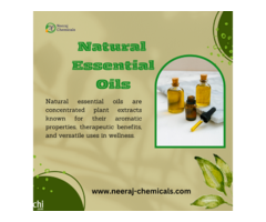 Natural Essential Oil Suppliers in India