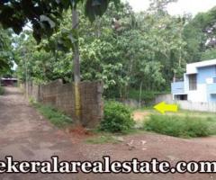 Thaivila Mangattukadavu 5 cent land for sale