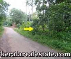 Vellalloor Kilimanoor house plot for sale