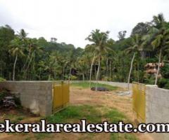 Vattappara house plot for sale