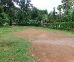 Plot 45 cent for sale near Chottanikkara Eruveli Tripunithura - Image 1