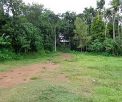 Plot 45 cent for sale near Chottanikkara Eruveli Tripunithura - Image 2