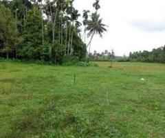 Plot 45 cent for sale near Chottanikkara - Image 1