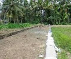 Plot 5.600 cent for sale near Maradu Tripunithura.