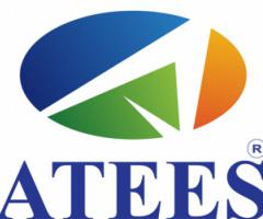 Become 1 on Google with ATEES SEO services