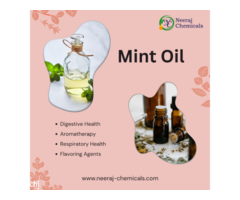 Mint Oil Suppliers in India