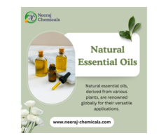 Natural Essential Oils Wholesalers in India