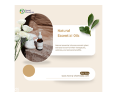 Natural Essential Oils Suppliers in India